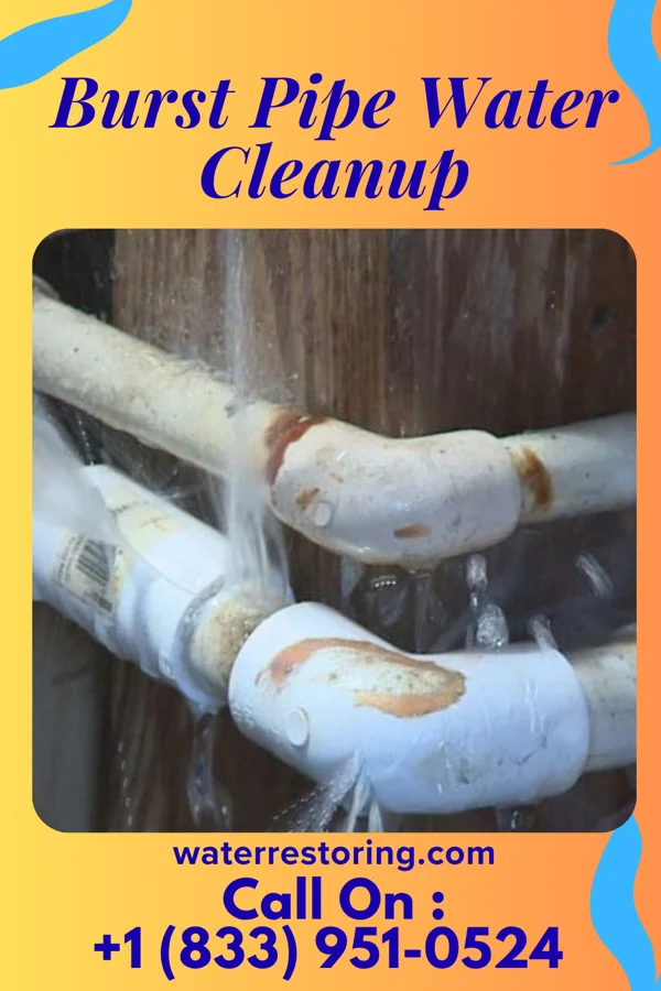 Burst Pipe Water Cleanup in Mardela Springs, MD