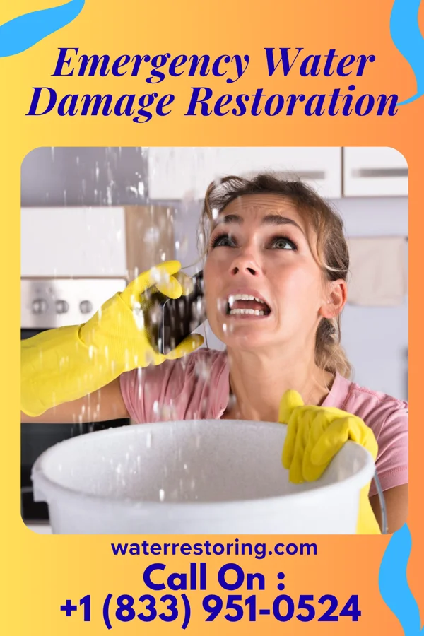 Emergency Water Damage Restoration in Mardela Springs, MD