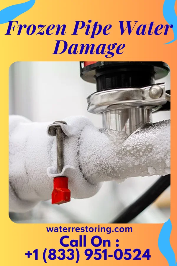 Frozen Pipe Water Damage in Mardela Springs, MD