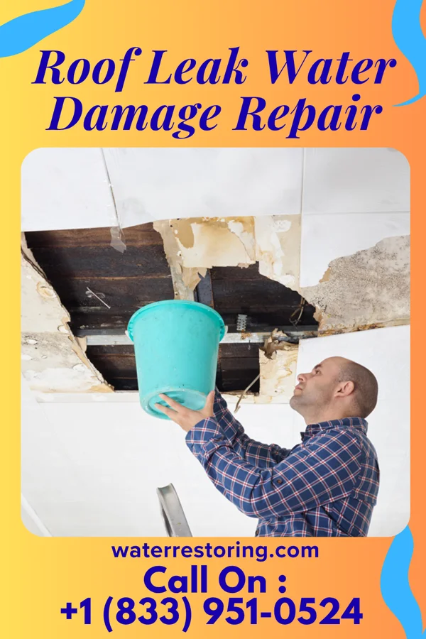 Roof Leak Water Damage Repair in Mardela Springs, MD