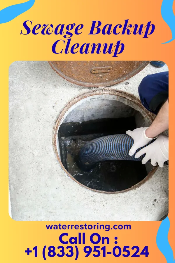 Sewage Backup Cleanup in Mardela Springs, MD